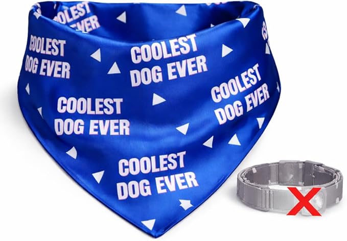 Luxury Satin Dog Bandana – Slip-On Collar Style, Premium Pet Scarf for Medium, Large & XL Dogs – Special Occasion Accessory (Collar Not Included) (Medium - Extra Large, Coolest Dog Ever)