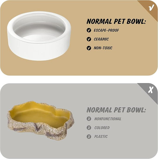 Reptile Food Dish Bowl 2Pcs Lizard Gecko Worm Water Bowls Small (2.75in) | Anti-escape Ceramic Mealworms Bowls for Leopard Bearded Dragon Chameleon Hermit Crab Dubia Cricket Feeding, Superworm Feeder