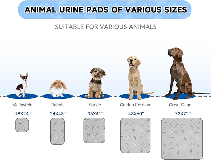 Sunheir Washable Pee Pads for Dogs Large 48" x 48" 2-Pack Reusable Puppy Pads Pet Training Pads, Absorb Dog Mats, Whelping Pad, Non-Slip Protects Against Urine Leakage (Leaves - Sky Blue, 48x48)