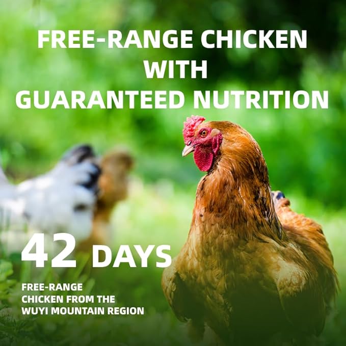 APL Freestyle Bone Chicken Broth Food Topper for Cats and Dogs, Premium Pet Broth with Collagen and Chondroitin Sulfate, Supports Skin and Coat Health, 3 Fl Oz (Pack of 6)