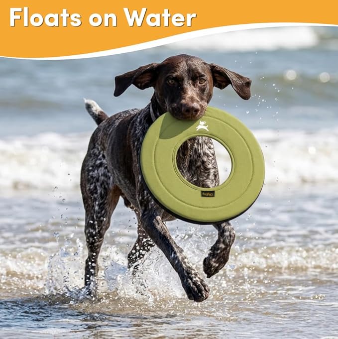 OllyDog Super Flyer, Floating Dog Disc for Water Play – Soft Durable Dog Fetch Toy, Eco-Friendly Recycled Material, Gentle on Teeth, Lightweight Flying Disc for Medium, Large Dogs (Alchemy, 11")