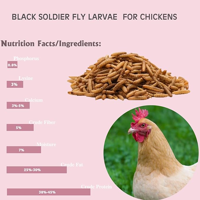 PROSECT 5LB Black Soldier Fly Larvae for Chickens,More Calcium Than Dried Mealworms,High Protein,Food of Natural Non-GMO Chicken,Treat for Laying Hen, Ducks, Wild Birds,Turtles
