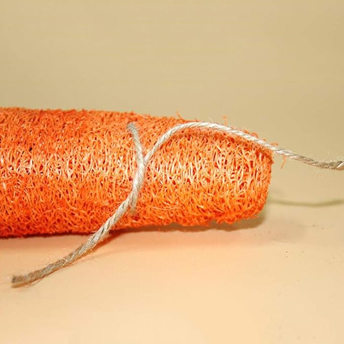 POPETPOP Rabbit Chew Toys - 2Pcs Carrot Shaped Hamster Toys Loofah Bunny Guinea Pig Bunny Chew Small Animal Chew for Chinchillas, Rat Teeth Cleaning