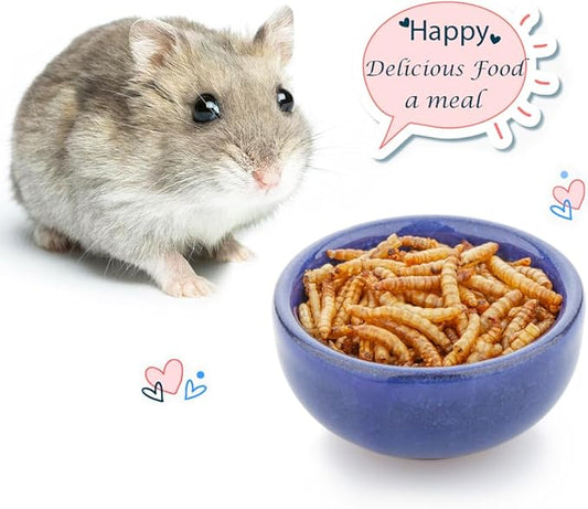 2 Pack Hamster Feeding Bowl, Hedgehog Ice Crack Design Ceramic Dish, Rat Gerbil Small Animal Food and Water Bowl (Colors May Vary)