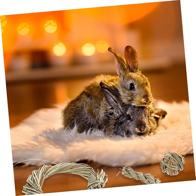 6pcs Small Animal Chew for Rabbits and Guinea Pigs Natural Grass Molar with Balls and Rings Teeth Cleaning Hamster Chew Props for Healthy Dental Care and Stress Relief