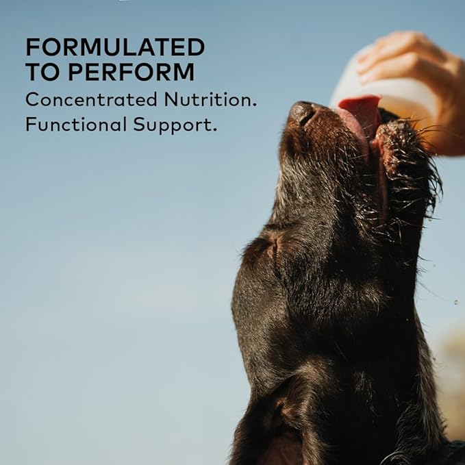 Beef Bone Broth Concentrate for Dogs - Collagen Protein Supplement - Digestion, Mobility, Coat, Immune System, Joints - Healthy Dog Food Gravy Topper - Human Grade, Made in USA (12 oz, 20 Servings)