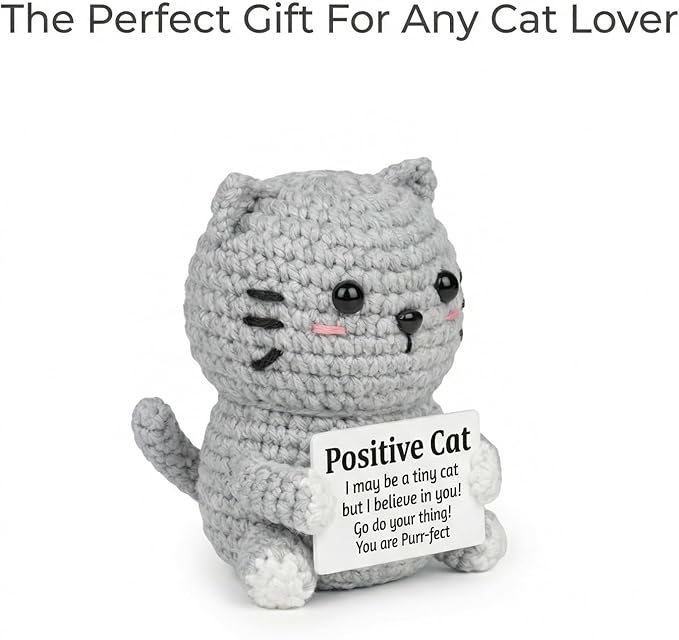 Positive Cat Plush with Encouraging Sign, Crochet Gift of Support for Women, Uplifting Sister Friendship Present, Gray Message Holder Toy