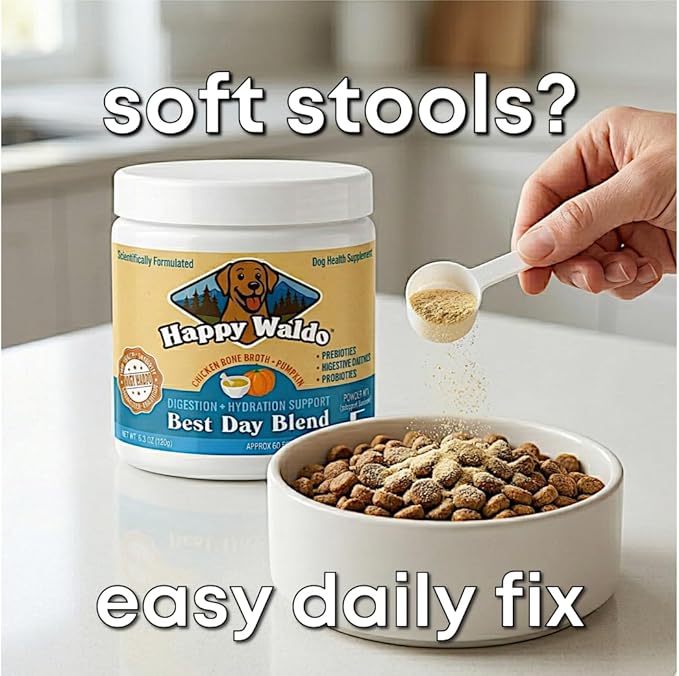 Bone Broth Dog Food Topper – Firm Stool Support, Digestion & Gut Health, Picky Eater Friendly with Pumpkin, Probiotics & Digestive Enzymes