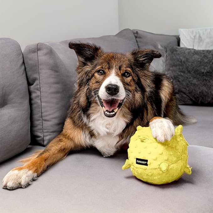 Playology Dog Toys | Plush Sensory Ball for Large Puppies and Young Dogs | Chicken Scented Jumbo Dog Ball Chew Toy | Teething Puppy Essentials