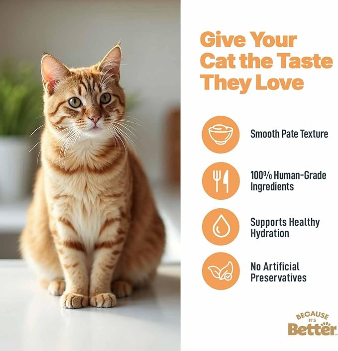 Because It’s Better Pate Complete Meal - Wet Cat Food - Real Turkey Recipe - Organic, Balanced, Smooth Pate Texture, Human-Grade Ingredients, Grain Free, 2.6 oz Pouches (12 Count)