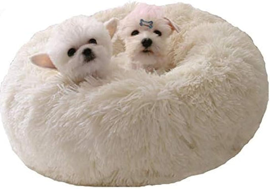 Modern Soft Plush Round Pet Bed for Cats or Small Dogs, Mini Medium Sized Dog Cat Bed Self Warming Autumn Winter Indoor Snooze Sleeping Cozy Kitty Teddy Kennel (24'' D x 8'' H, White)
