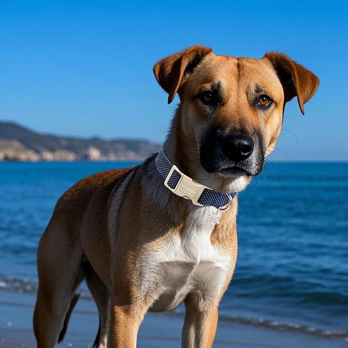 Lionet Paws Boy Dog Collar- Cute Navy Blue Dog Collars with Plastic Buckle,Light Adjustable Dog Collars for Medium Large Dogs