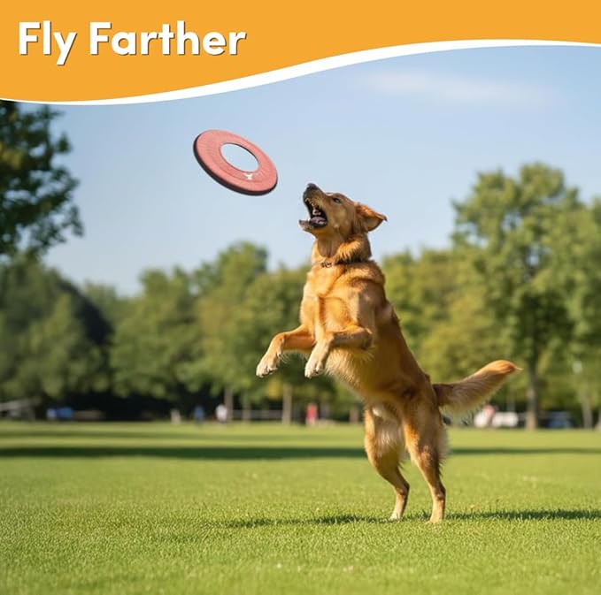 OllyDog Super Flyer, Floating Dog Disc for Water Play – Soft Durable Dog Fetch Toy, Eco-Friendly Recycled Material, Gentle on Teeth, Lightweight Flying Disc for Medium, Large Dogs (Desert, 11")