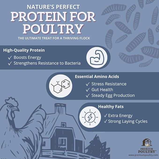 Chicken Feed for Backyard Poultry High Calcium Insect Protein Natural Supplement Treat, Meal Worms, 5lb