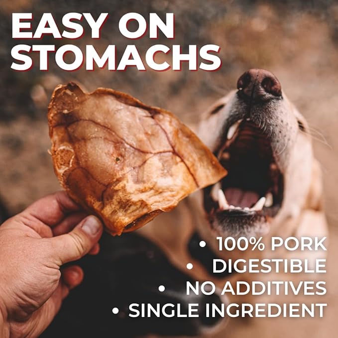 Bully Bunches Large Whole Pig Ears for Dogs | Free Range Oven Baked Pork for All Breeds | All-Natural, Single Ingredient & 100% Digestible Safe Dog Chew (80 Pack)