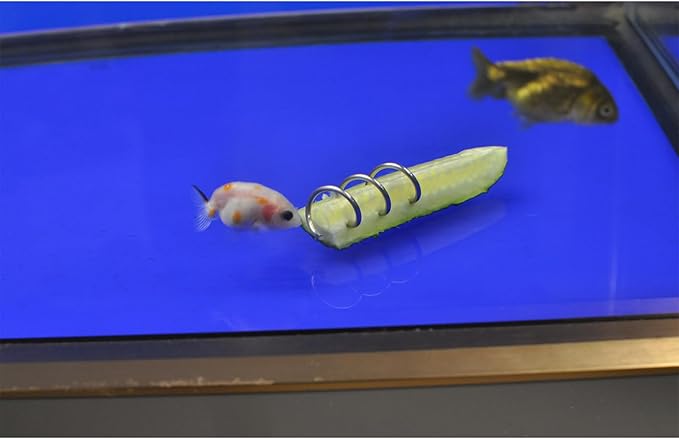 Fish Tank Aquarium Feeder, Vegetable, Loach, Malawi Cichlid Snail Stainless Steel Sinking Feeder 2 Pcs Set