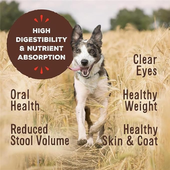 Primal Freeze Dried Dog Food, Pronto Mini Nuggets, Lamb; Scoop & Serve, Complete & Balanced Meal; Also Use as Topper or Treat; Premium, Healthy, Grain Free, High Protein Raw Dog Food 25 oz (Pack of 2)