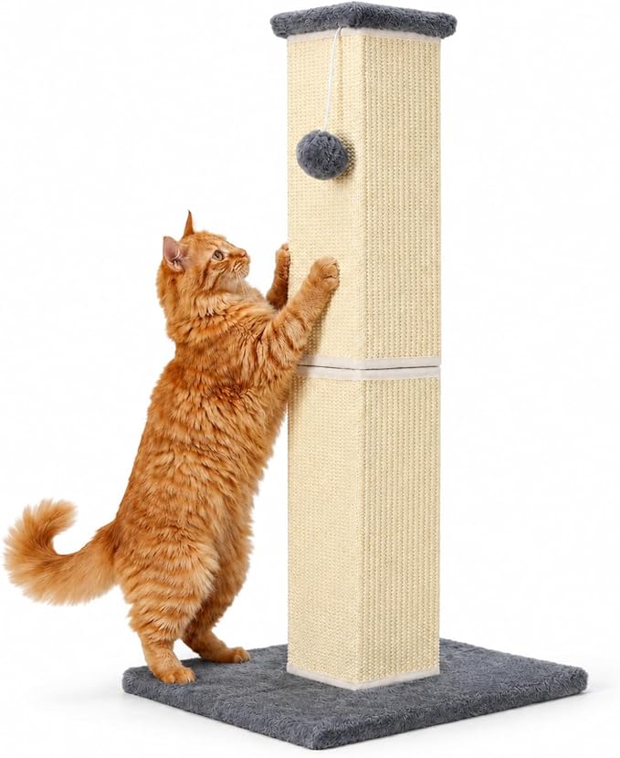 32" Tall Cat Scratching Post for Large Indoor Cats & Kittens, Cat Scratcher with Extra Large Stable Base and Natural Sisal, Sturdy Cat Scratch Post to Protect Furniture & Couch, Grey