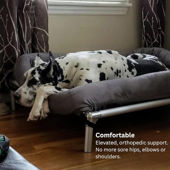 Kuranda Chewproof Elevated Dog Bed - Silver Aluminum - 50" x 36" - Heavy Duty Vinyl - Royal Blue
