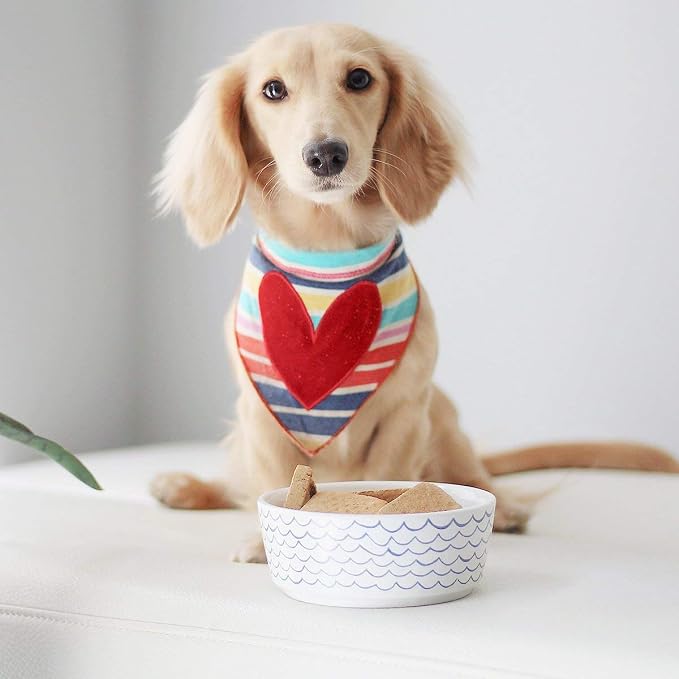 Waggo Ceramic Dog Bowl – Blue & White Wave Pattern Pet Food & Water Bowl – Durable, Dishwasher Safe Modern Dog Dish (Medium)