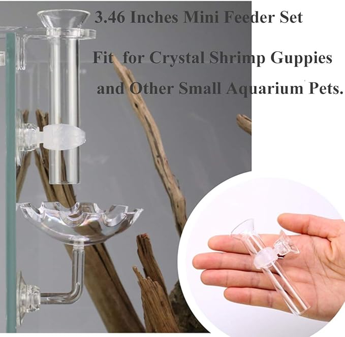 Shrimp Feeding Tube and Feeding Dish, Fit for Shrimp Fish, Mini Size, High Transparent Acrylic Material