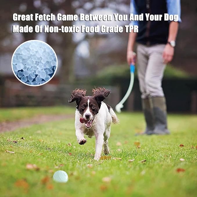 Feixun Dog Glow Ball Toy, Dog Toy Ball Glow in The Dark, 2 Pack