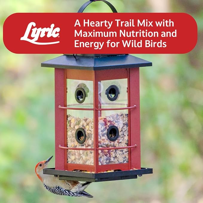 Lyric Fruit and Nut Wild Bird Seed - High Energy Wild Bird Food Mix - Attracts Woodpeckers, Chickadees & Other Songbirds - 10 lb. (pack of 2 - 5 lb bags)