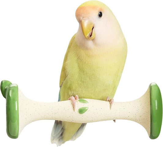 Apple Shape Parrot Perch Stand Ceramic Beak Grinding Stone Toy for Nail Trimming - Cage Accessories for Parrot, Budgie, Cockatiel, Lovebird, Other Small Medium Birds (Green)