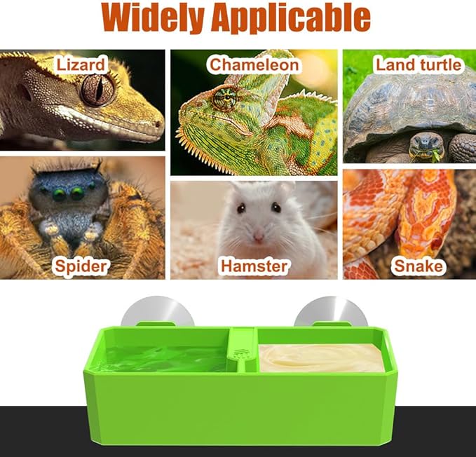 DONGKER Reptile Feeding Ledge,Square Dual-Compartment Reptile Water Food Bowl with 2 Suction Cup for Bearded Dragon Lizard Turtle Tortoise