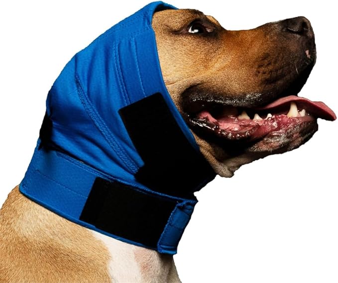No Flap Ear Wrap (Blue Pinpoint Mesh, X-Small)