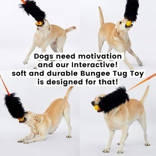 HOWGO Dog Rope Toy,Dog Bungee Chaser Toy 100% Sheepskin,Sheep Smell Tug Toy for All Breeds (Orange, Short Without Ball)