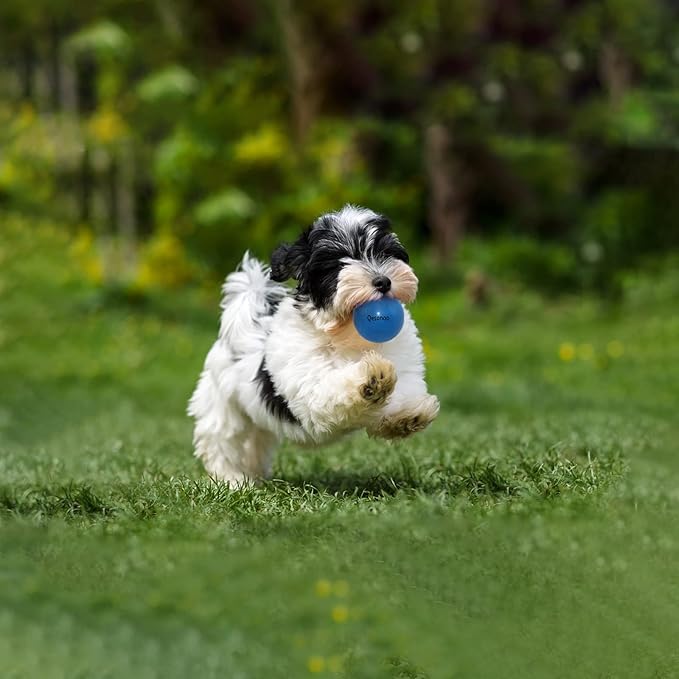 Dog Balls Indestructible,Solid Rubber Bouncy for Dogs Aggressive Chewers Small Breed,Non-Toxic&Floating&High Elasticity,Durable Fetch Ball Small to Chew,Play and Training
