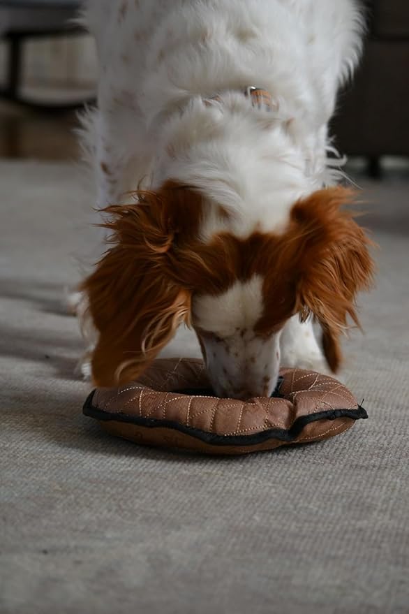 Ultra Tough Large Ring Toy