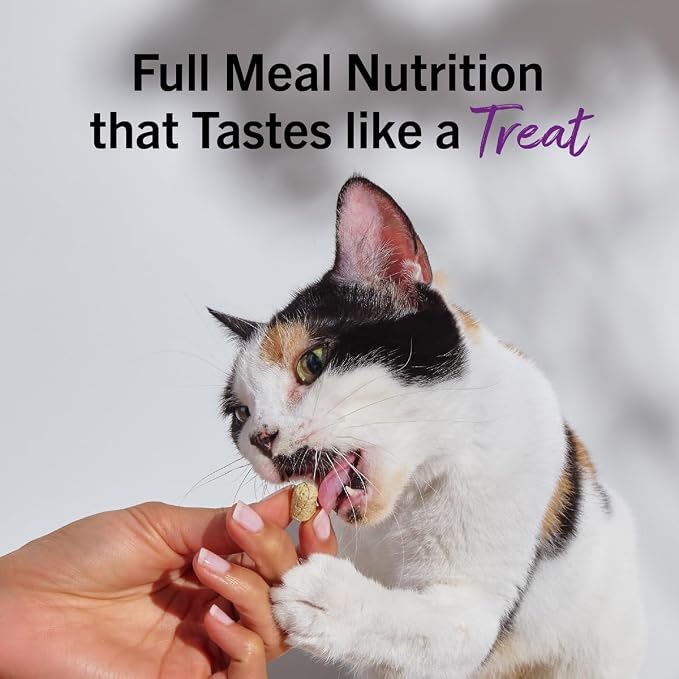 Stella & Chewy's Freeze-Dried Raw Cat Dinner Morsels - Premium Pork Recipe with 98% Responsibly-Sourced Meat & Organs - Natural Grain-Free Cat & Kitten Food - Made in USA - 18 oz