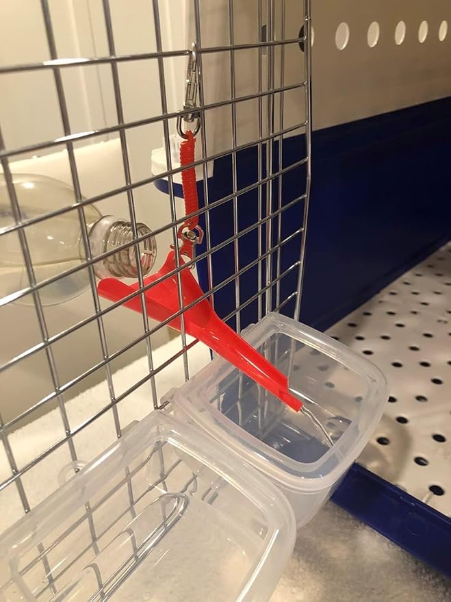 DryFur Hook On Pet Carrier Door - Water Funnel Spout - Guides Water into Dish (Green)