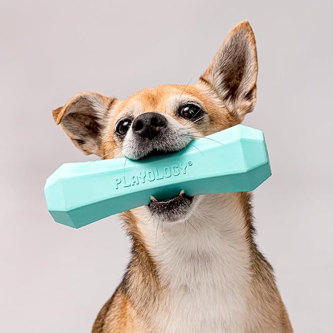 Playology Squeaky Chew Stick Dog Toys, Beef Scented & Peanut Butter Scented for Medium Dogs up to 50 lbs | Engaging All-Natural Scented Dog Chew Toy for Tough Chewers | Easy to Clean & Non-Toxic Mater