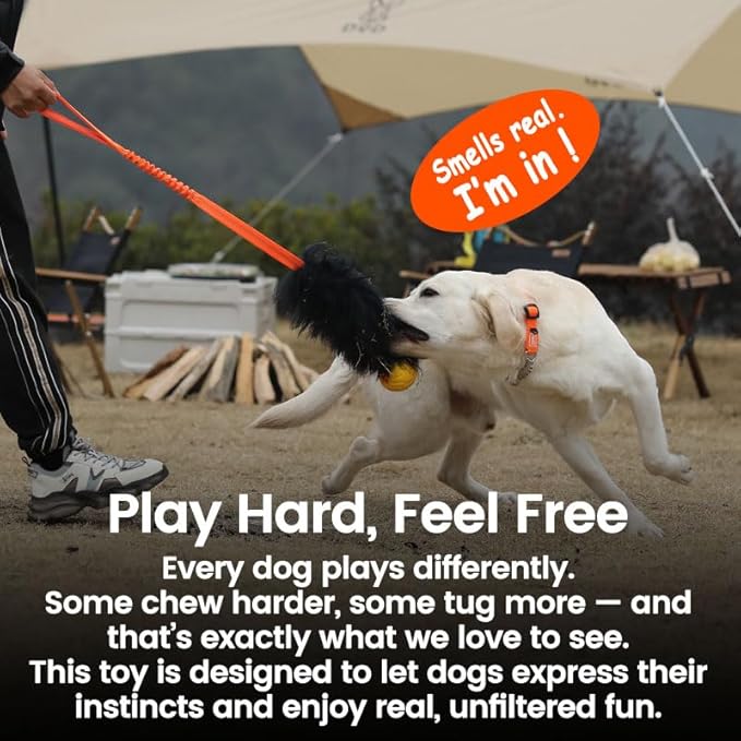 HOWGO Dog Rope Toy,Dog Bungee Chaser Toy 100% Sheepskin,Sheep Smell Tug Toy for All Breeds (Black, Long Without Ball)