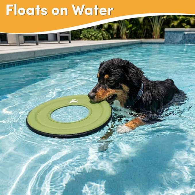 OllyDog Super Flyer, Floating Dog Disc for Water Play – Soft Durable Dog Fetch Toy, Eco-Friendly Recycled Material, Gentle on Teeth, Lightweight Flying Disc for Medium, Large Dogs (Palm, 11")