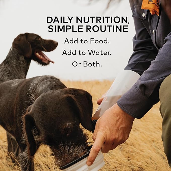 Beef Bone Broth Concentrate for Dogs - Collagen Protein Supplement - Digestion, Mobility, Coat, Immune System, Joints - Healthy Dog Food Gravy Topper - Human Grade, Made in USA (12 oz, 20 Servings)