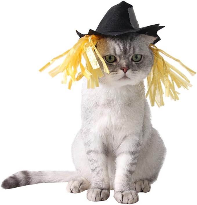NAMSAN Halloween Cat Costume, Small Dogs Scarecrow Hat with Wig, Pet Wig Scarecrow Hat Outfit for Kitten Puppy Statue Toys Decoration, Festival Cosplay Apparel