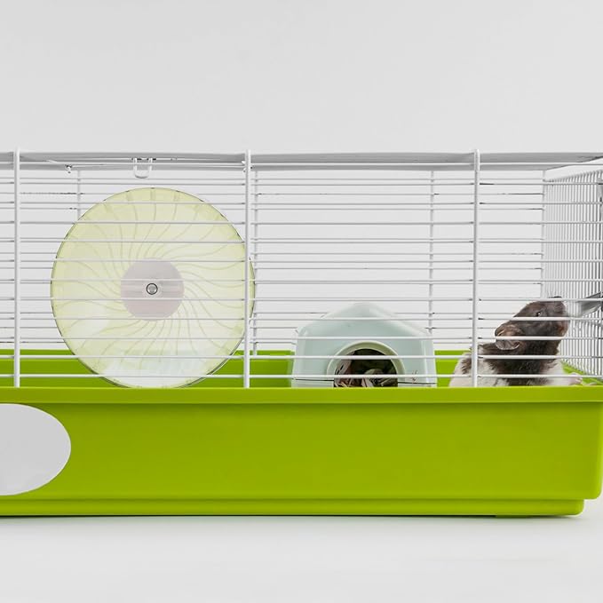 BESPORTBLE Silent Hamster Wheel with Double Bearings, 14-inch Transparent Green Running Wheel for Guinea Pigs, Gerbils, and Small Animals Exercise