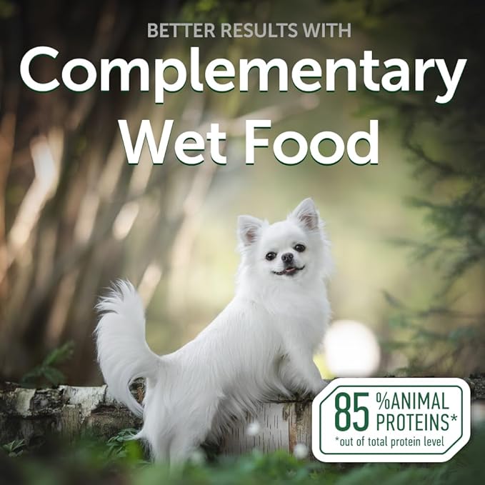 Nature's Protection Wet Dog Food Pouches for Small & Large Breed - High Protein, 24-Pack Soft Dog Food Toppers for Adult Dogs with Light Fur (Superior Care - Tuna & Salmon, 2.46-oz)
