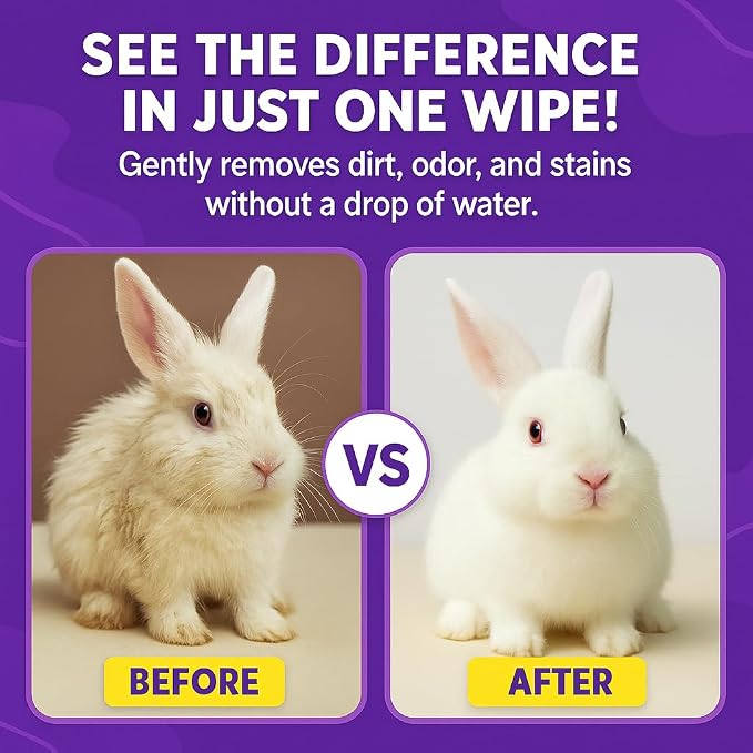 Rabbit Bath Wipes - Disposable Glove Design, Waterless No-Blow Clean, for Bunny Paws, Fur, Bottoms & Sensitive Areas, 6-Count (Pet Gloves Wipes 4 Packs (24 Pieces))