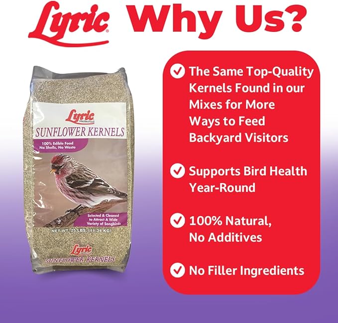Lyric Sunflower Kernels Wild Bird Seed for Outside Feeders, No Waste Bird Food, Attracts Finches and More, 5 lb Bag