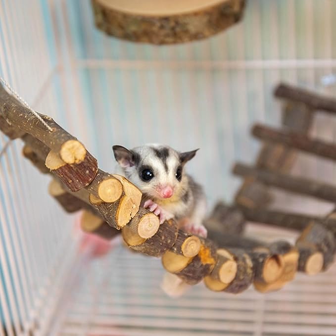 5Pcs Sugar Glider Supplies Cage Accessories,Apple Wood Squirrel Ferret Hamster Hanging Chewing Climbing Toys,Sugar Glider Swing Toy Ladder Toy Platform (Wood, 5Packs)