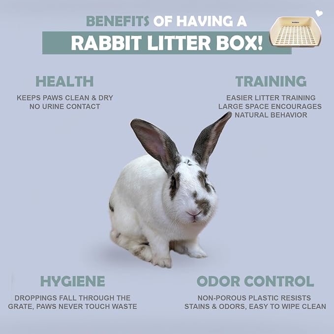 Kiwi & Mora Rabbit Litter Box - Extra Large Bunny Litter Box 17.1"x12.8" with Grate, Pee Pads & Cleaning Set - Potty Training Pan for Large Breed Rabbits, Guinea Pig, Ferret, Chinchilla, Easy to Use