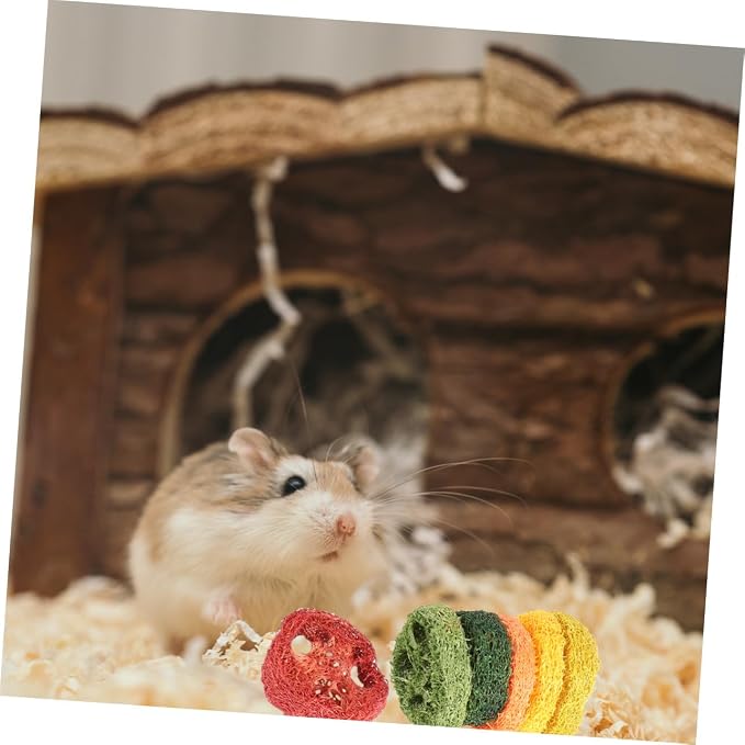 COLLBATH 6 Pcs Large Hamster Loofah Chew Lotus Root Slice Shape Pet Chewing for Rabbits and Small Animals Natural Molar Care Tools for Teeth Cleaning and Oral Health Random Color