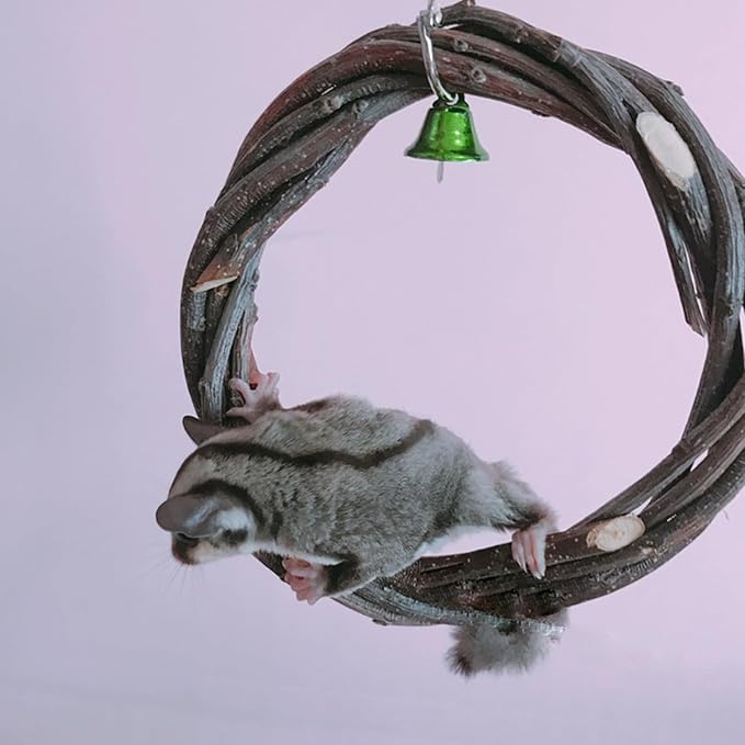 5Pcs Sugar Glider Supplies Cage Accessories,Apple Wood Squirrel Ferret Hamster Hanging Chewing Climbing Toys,Sugar Glider Swing Toy Ladder Toy Platform (Wood, 5Packs)