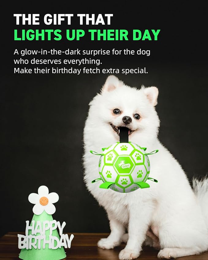 QDAN Glow in the Dark Dog Ball with Straps, No Charge Fetch & Tug Toy, 6 Inch Soccer Ball for Small & Medium Dogs, Great Birthday Gift for Pets