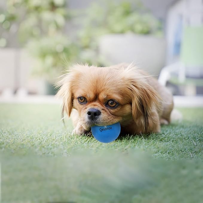 Dog Balls Indestructible,Solid Rubber Bouncy for Dogs Aggressive Chewers Small Breed,Non-Toxic&Floating&High Elasticity,Durable Fetch Ball Small to Chew,Play and Training